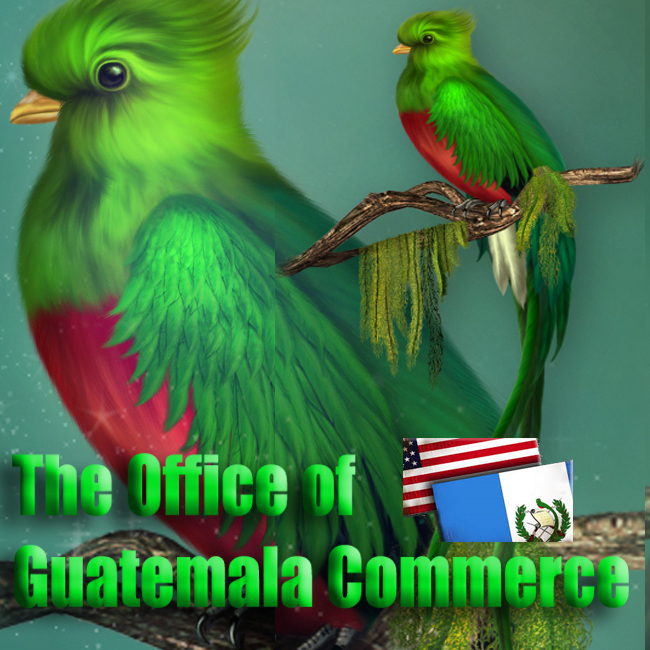 OFICINA DE COMERCIO DE GUATEMALA
